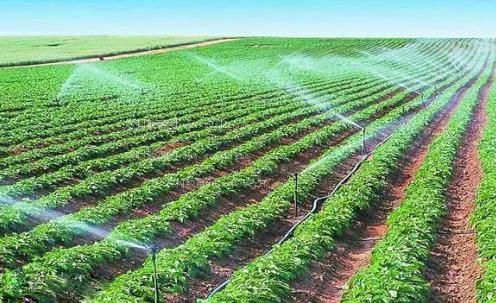 黄色三级四级大白逼农田高 效节水灌溉